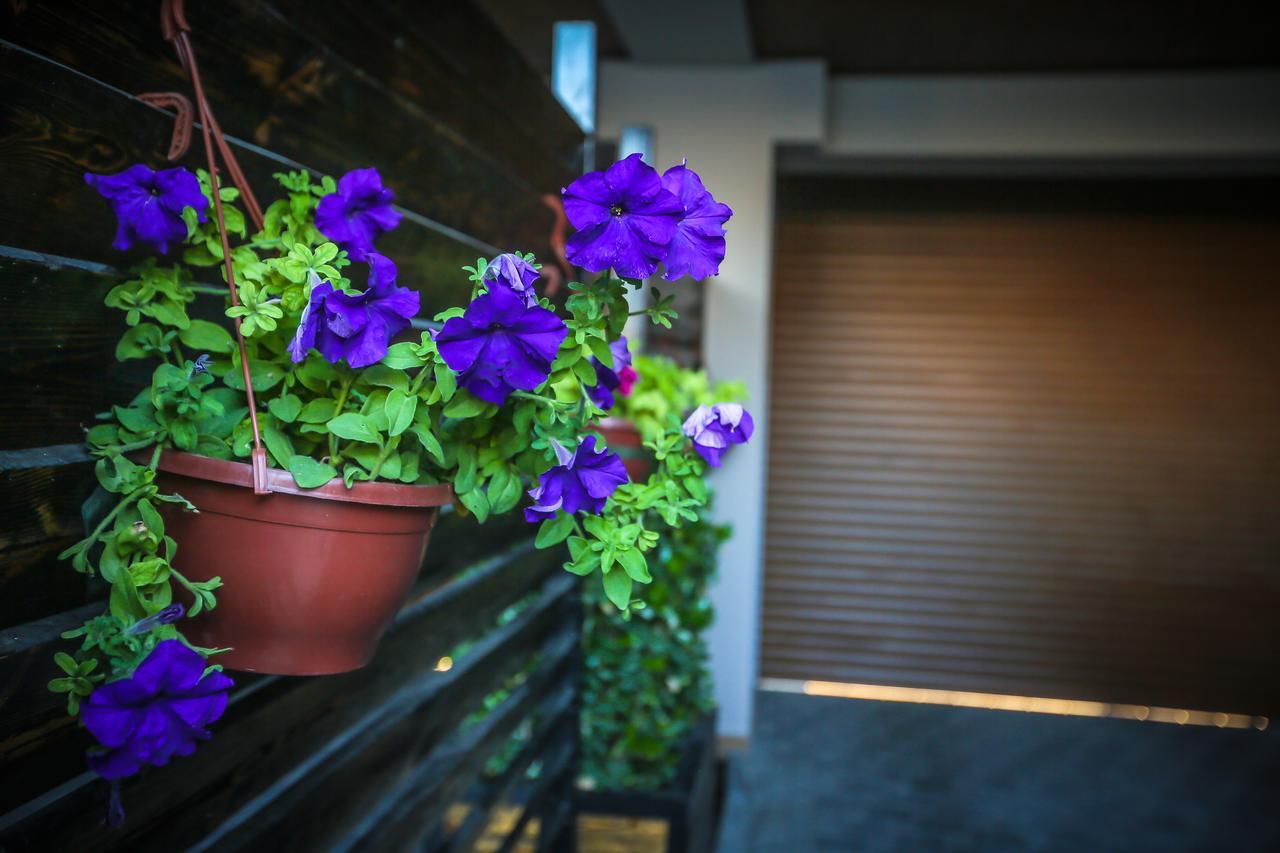 Armada Villa Hotel Zabrat Bagian luar foto